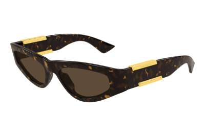 Bottega Veneta  BV1407S 002