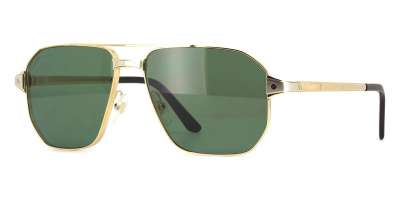 Cartier CT0424S 002