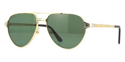 Cartier CT0425S 002 POLARIZED 