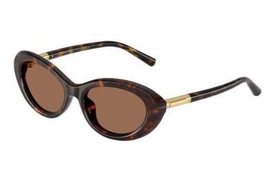 Dolce&Gabbana DG4519 502/73