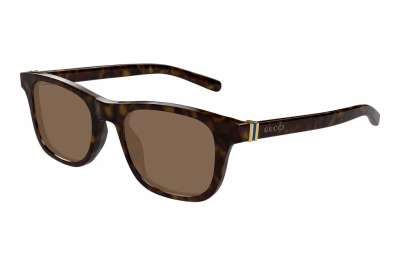 Gucci GG1671S 006