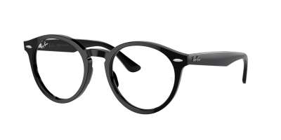 Ray-Ban RX7680V Larry 2000
