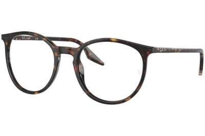 Ray-Ban RB2204 902/GJ