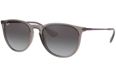 Ray-Ban RB4171 Erika 65138G