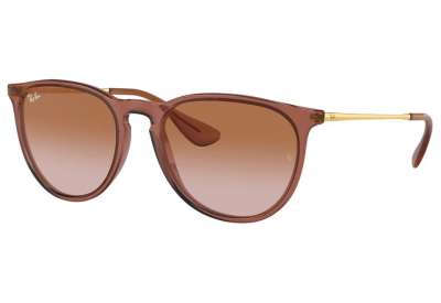 Ray-Ban RB4171 Erika 659013