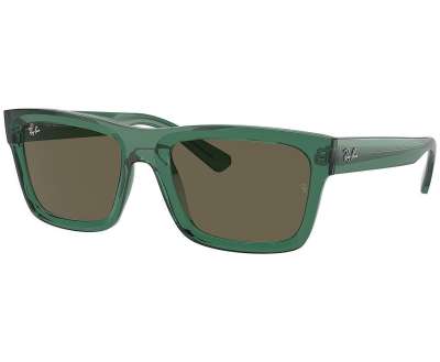 Ray-Ban Warren RB4396 6681/3